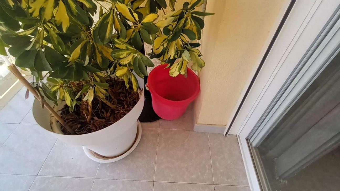 Apartamento Suite Acapulco First Line Benidorm Beach エクステリア 写真
